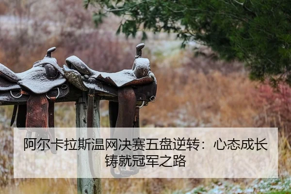 a-er-ka-la-si-wen-wang-jue-sai-wu-pan-ni-zhuan-xin-tai-cheng-zhang-zhu-jiu-guan-jun-zhi-lu-2-794.jpg
