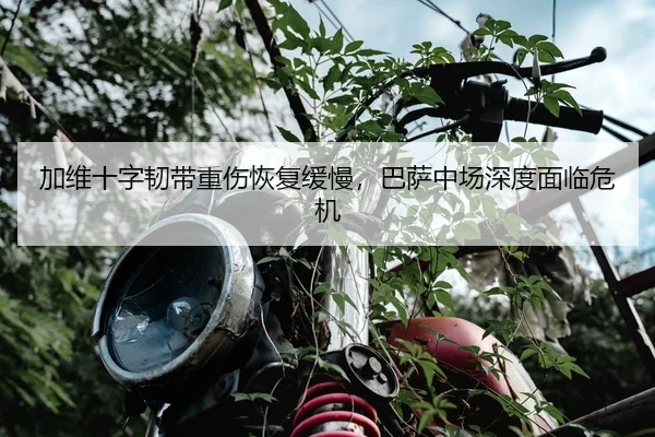 加维十字韧带重伤恢复缓慢，巴萨中场深度面临危机