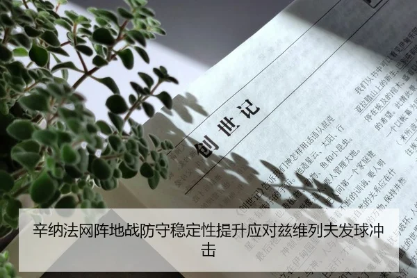 xin-na-fa-wang-zhen-di-zhan-fang-shou-wen-ding-xing-ti-sheng-ying-dui-zi-wei-lie-fu-fa-qiu-chong-ji-2-869.jpg