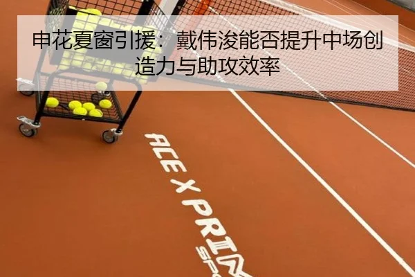 申花夏窗引援：戴伟浚能否提升中场创造力与助攻效率