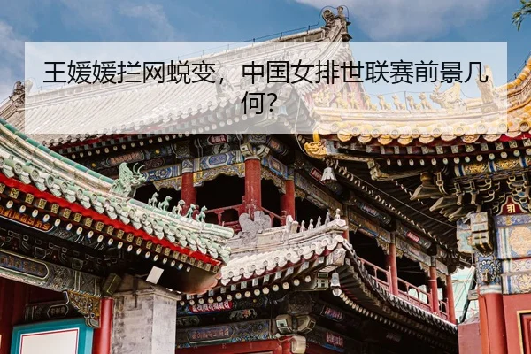 wang-yuan-yuan-lan-wang-tui-bian-zhong-guo-nv-pai-shi-lian-sai-qian-jing-ji-he-3-761.jpg